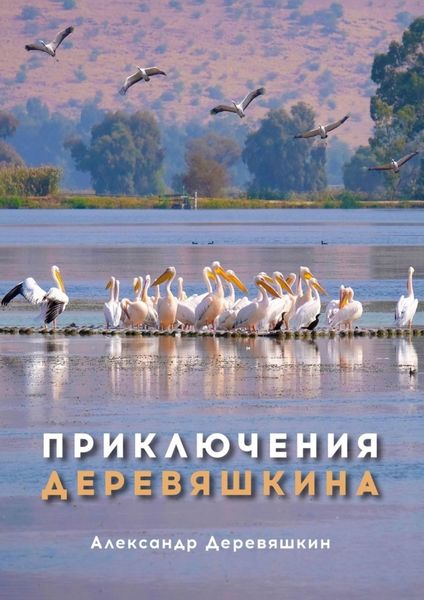 Обложка книги «Приключения Деревяшкина»