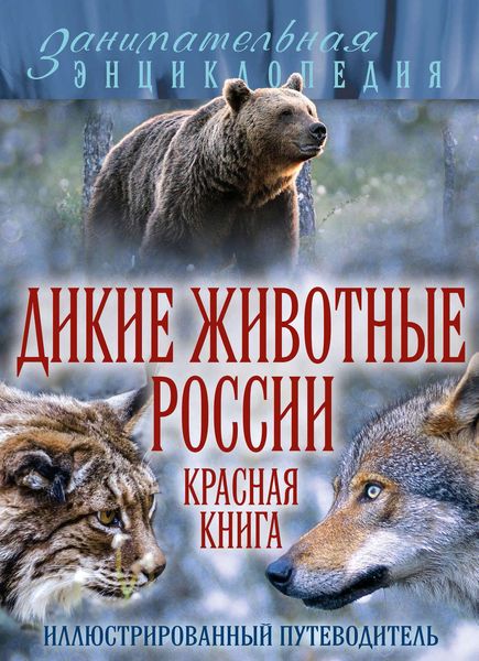 Обложка книги  «Дикие животные России. Красная книга. Иллюстрированный путеводитель»