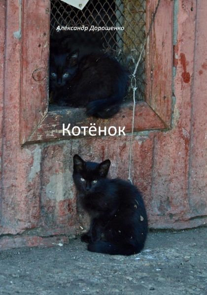 Обложка книги  «Котёнок»