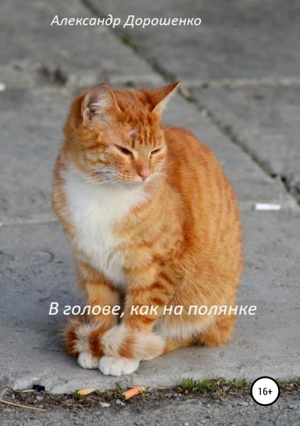 Обложка книги «В голове, как на полянке»