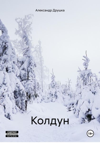 Обложка книги «Колдун»