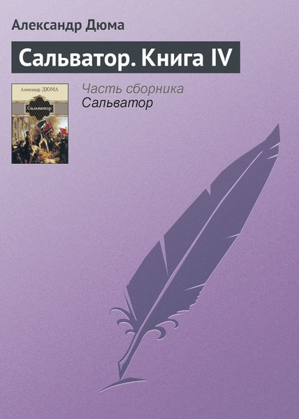 Обложка книги  «Сальватор. Книга IV»