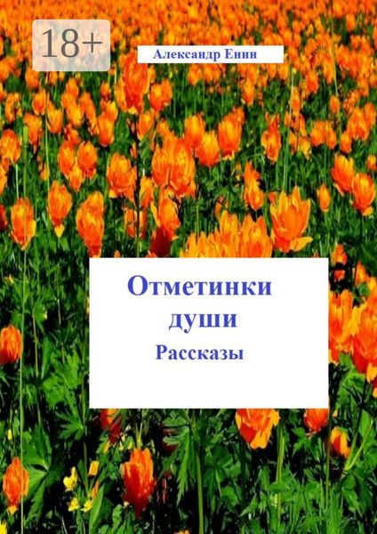 Обложка книги  «Отметинки души»