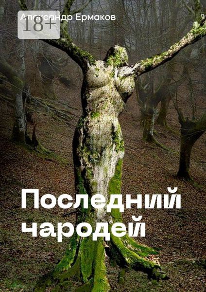 Обложка книги  «Последний чародей»
