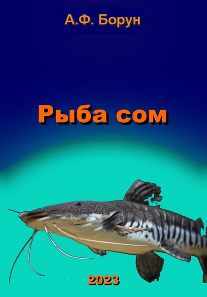 Обложка книги  «Рыба сом»