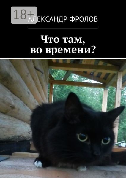 Обложка книги «Что там, во времени?»