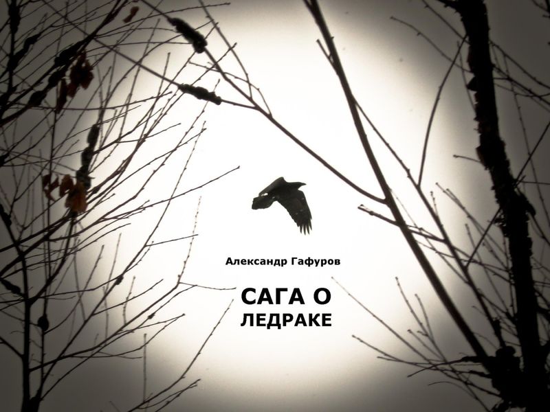 Обложка книги «Сага о Ледраке»