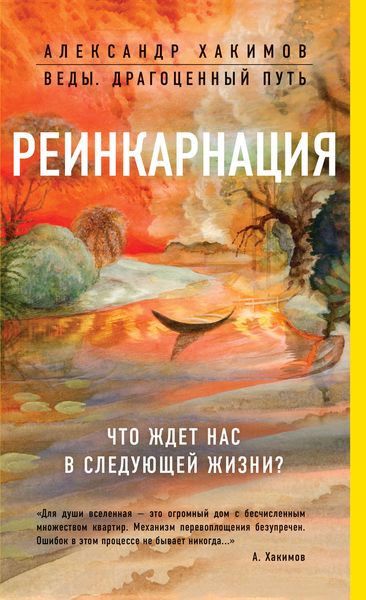 Обложка книги «Реинкарнация. Что ждет нас в следующей жизни?»