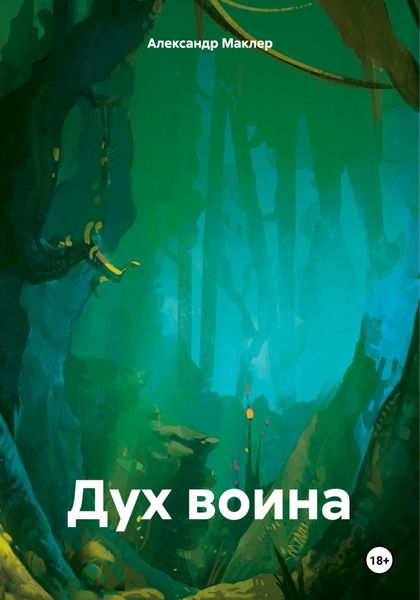 Обложка книги  «Дух воина»