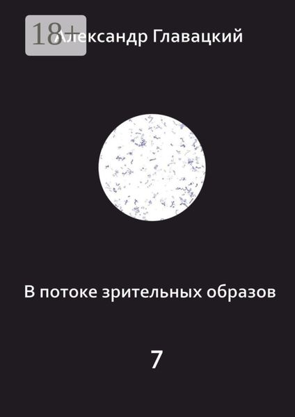 Обложка книги  «В потоке зрительных образов – 7»