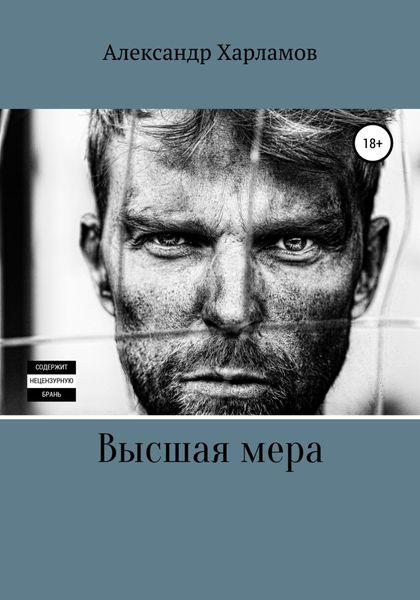 Обложка книги  «Высшая мера»