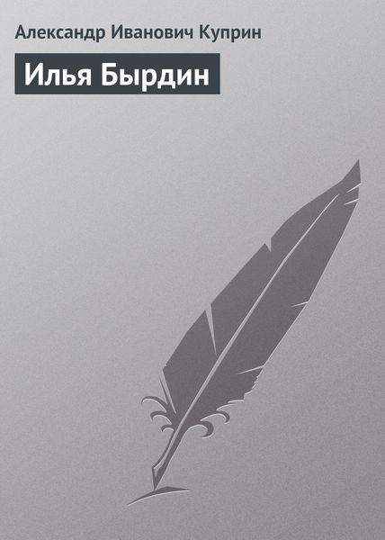 Обложка книги «Илья Бырдин»