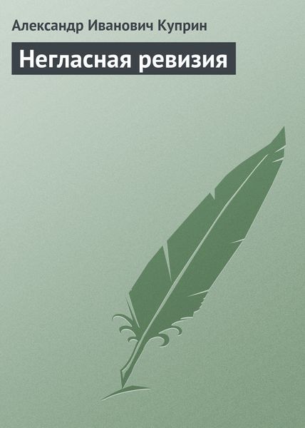 Обложка книги  «Негласная ревизия»