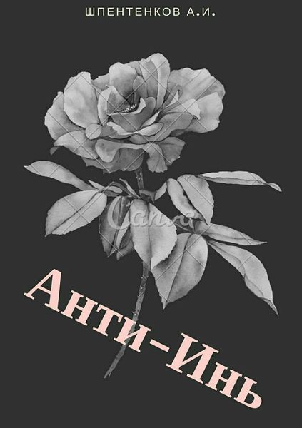 Обложка книги  «Анти-Инь»