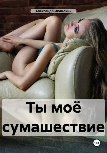 Обложка книги  «Ты моё сумашествие»