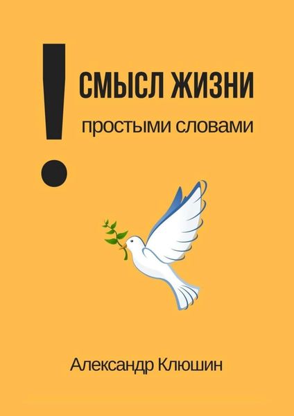 Обложка книги  «Смысл жизни простыми словами»