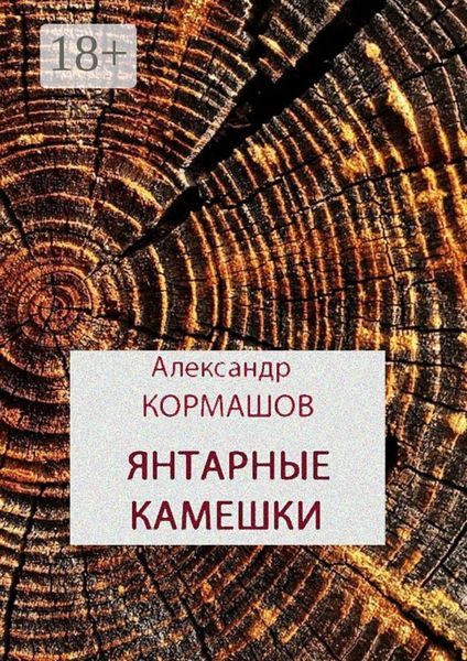 Обложка книги  «Янтарные камешки. рассказы»