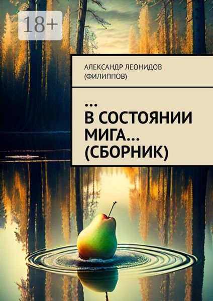 Обложка книги  «…В состоянии мига…»