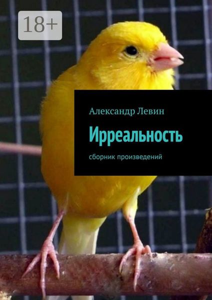 Обложка книги  «Ирреальность. Сборник произведений»