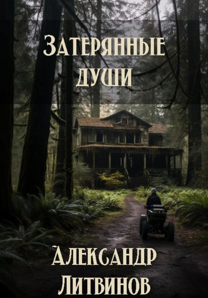 Обложка книги  «Затерянные души»