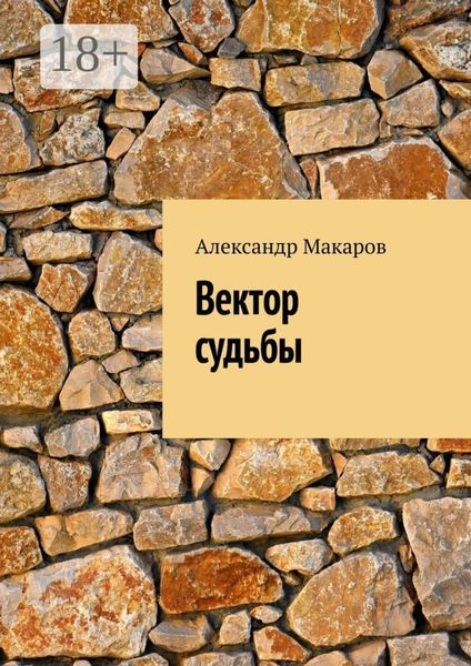 Обложка книги  «Вектор судьбы»