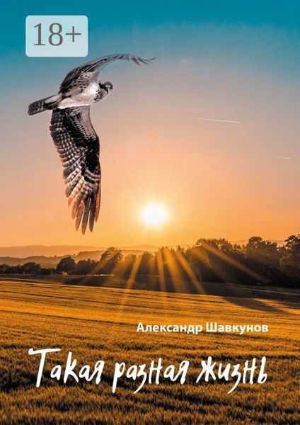 Обложка книги  «Такая разная жизнь»