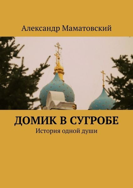 Обложка книги  «Домик в сугробе. История одной души»