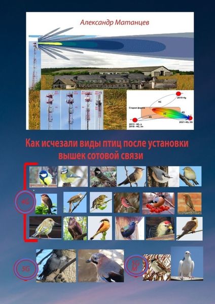 Обложка книги  «Как исчезали виды птиц после установки вышек сотовой связи»