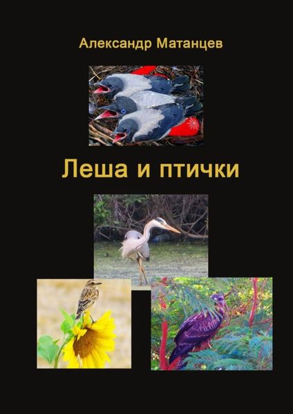 Обложка книги «Леша и птички»