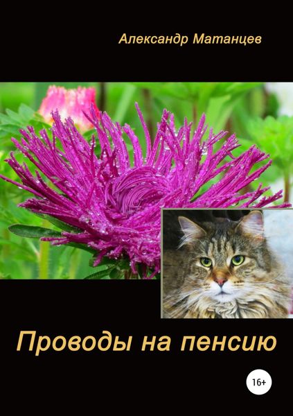 Обложка книги  «Проводы на пенсию»
