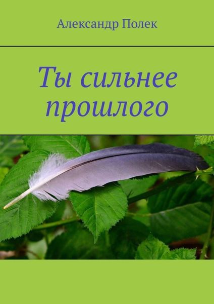 Обложка книги «Ты сильнее прошлого»