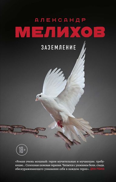 Обложка книги  «Заземление»