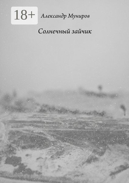 Обложка книги  «Солнечный зайчик»