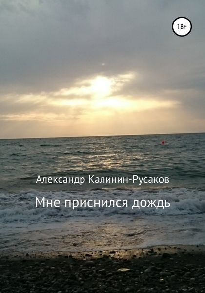 Обложка книги  «Мне приснился дождь. Сборник рассказов»