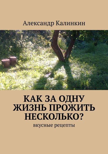 Обложка книги «Как за одну жизнь прожить несколько? Вкусные рецепты»