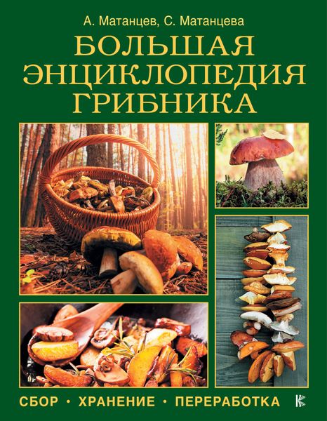 Обложка книги «Большая энциклопедия грибника»