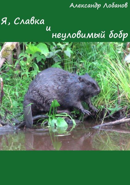 Обложка книги  «Я, Славка и неуловимый бобр»