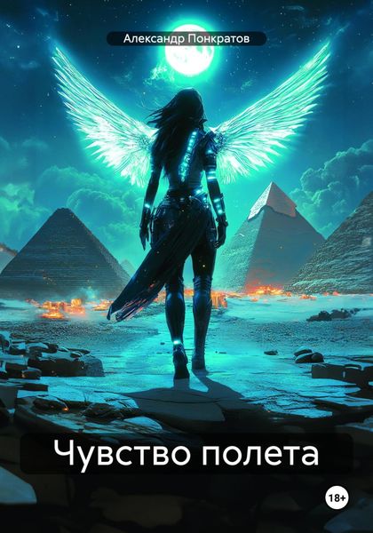 Обложка книги  «Чувство полета»