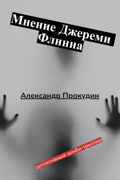 Обложка книги  «Мнение Джереми Флинна»