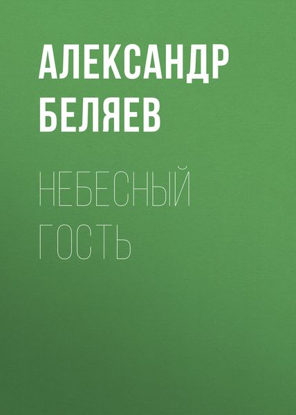 Обложка книги  «Небесный гость»