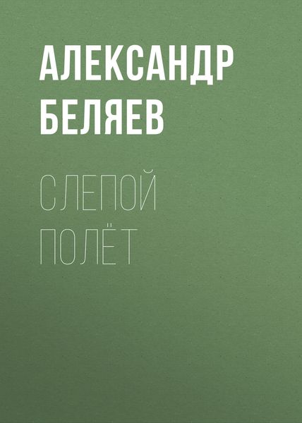 Обложка книги  «Слепой полёт»