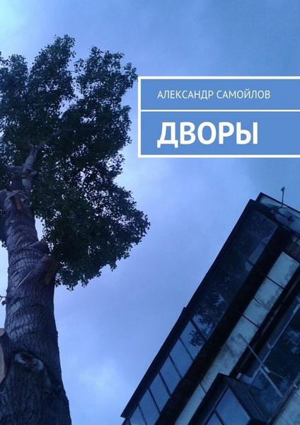 Обложка книги  «Дворы»