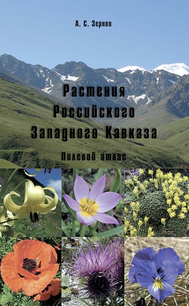 Обложка книги «Растения Российского Западного Кавказа. Полевой атлас»