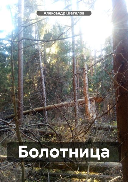 Обложка книги  «Болотница»
