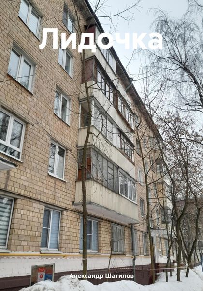 Обложка книги «Лидочка»