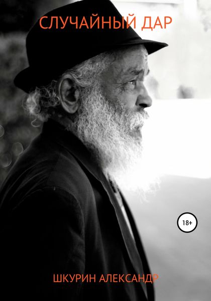 Обложка книги  «Случайный дар»