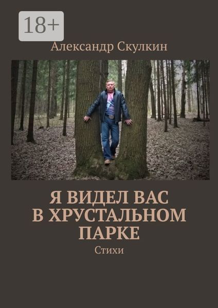 Обложка книги  «Я видел вас в Хрустальном парке. Стихи»