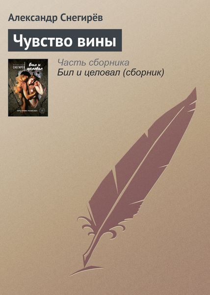 Обложка книги  «Чувство вины»