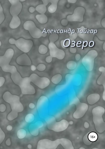 Обложка книги  «Озеро»