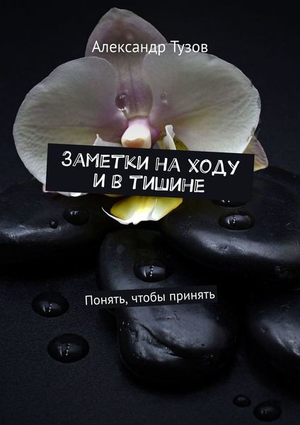Обложка книги «Заметки на ходу и в тишине. Понять, чтобы принять»